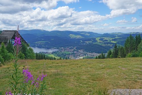 hochfirst titisee landscape