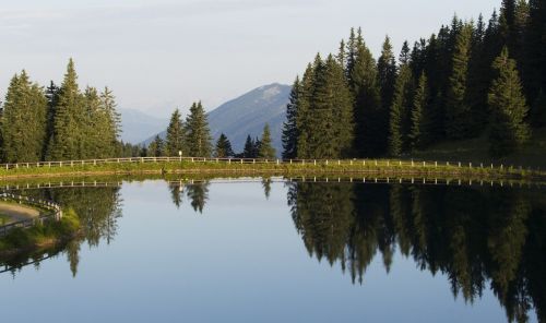 hochkar lake pine