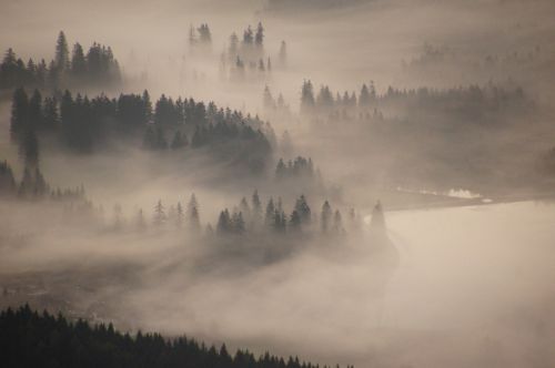 hochlantsch mountain sea of fog