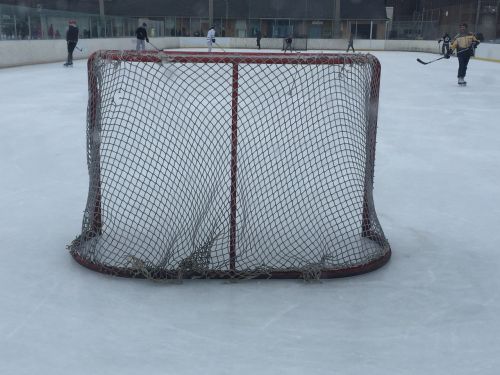 hockey net hockey rink