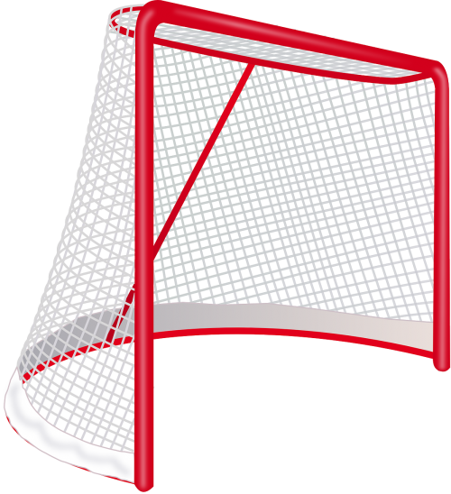 hockey goal net