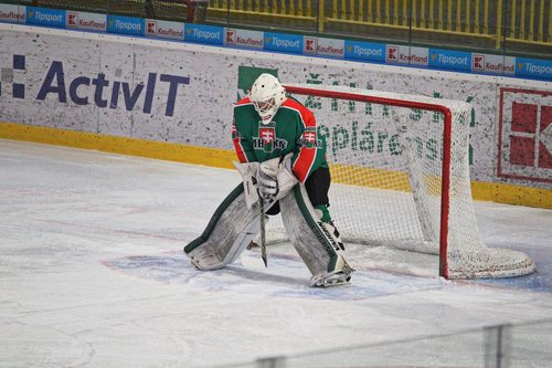 hockey  goalkeeper  mshkm skalica