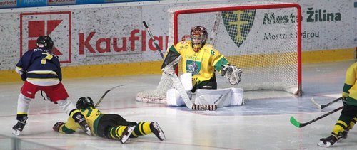 hockey  goalkeeper  action