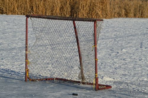 hockey net outdoor puck