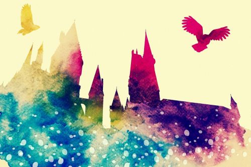 hogwarts owl hedwig