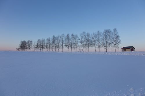 hokaido snow blue sky