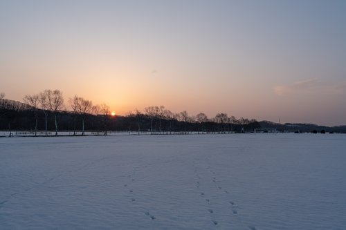 hokkaido  sunrise  snow