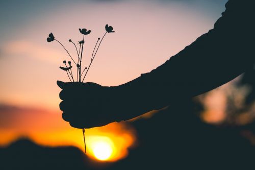 holding flowers silhouette