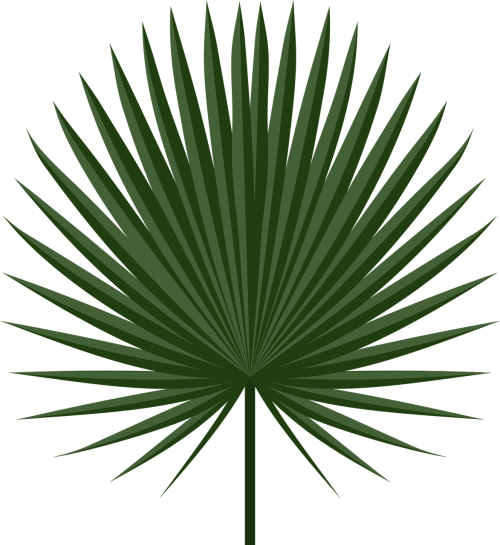 holiday leaf palm