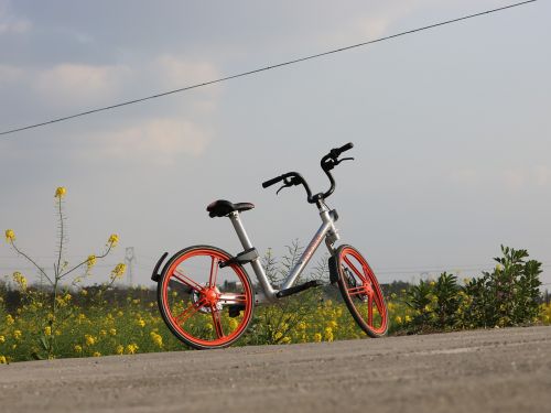 holiday bike transport