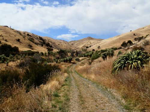 holiday landscape nature