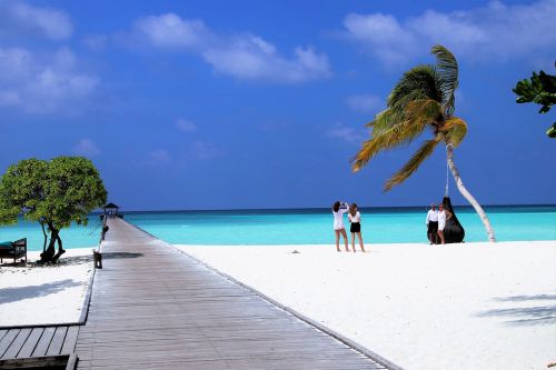holiday maldives paradise