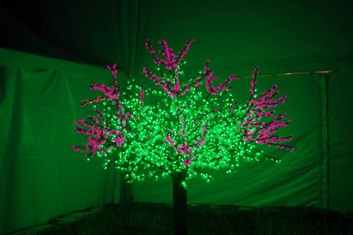 holiday lights tree