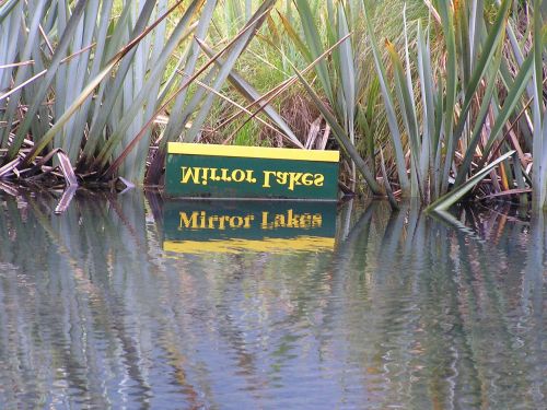mirror water mirror lake