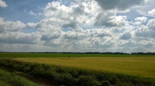 holland the netherlands fields