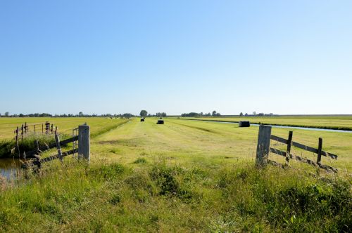 Dutch Landscape