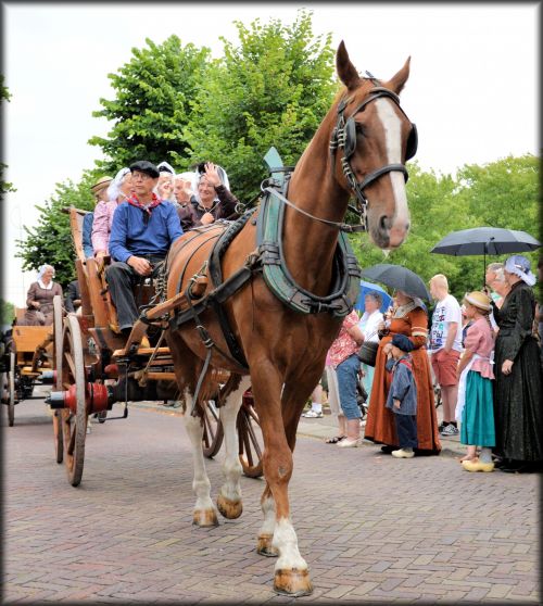 Dutch Authentic Carriages 03