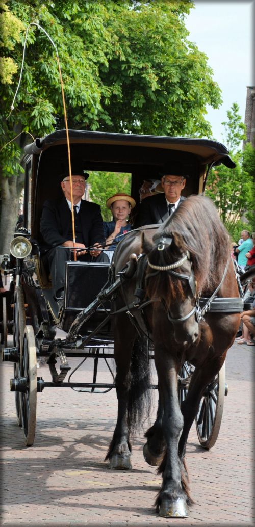 Dutch Authentic Carriages 12