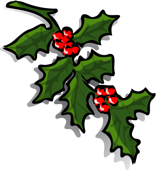 holly holly berries christmas