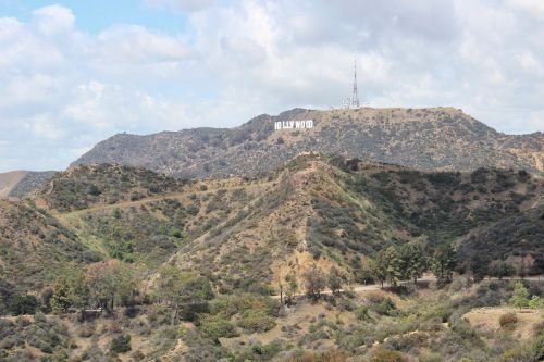 hollywood sign field