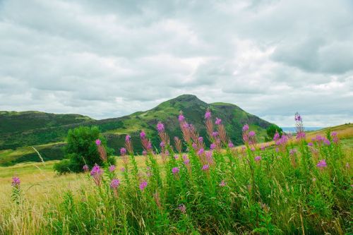 holyrood park edinburgh park holyrood