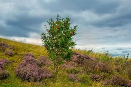 holyrood park edinburgh park holyrood