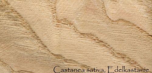 Wood Pattern, Castanea Sativa