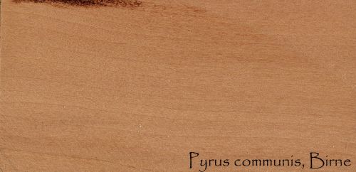 Wood Pattern, Pyrus Communis