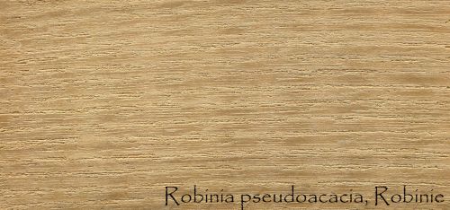Wood Pattern, Robinia Pseudoacacia