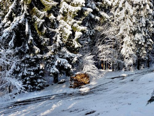 holzstabel winter snow