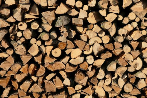 holzstapel  wood  growing stock