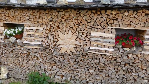 holzstapel edelweiss flower