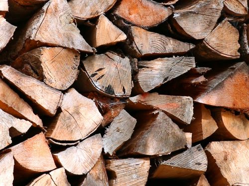 holzstapel tree wood firewood