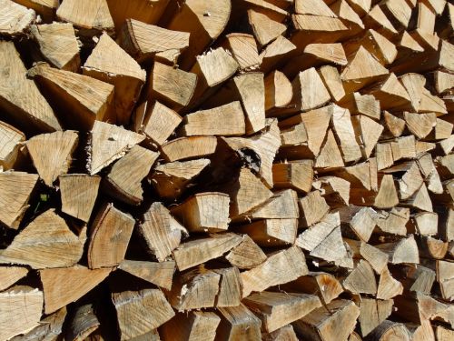 holzstapel firewood growing stock