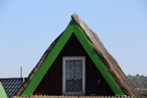 home thatched roofs nature