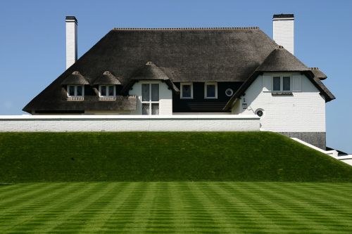 home thatched roof green lawn