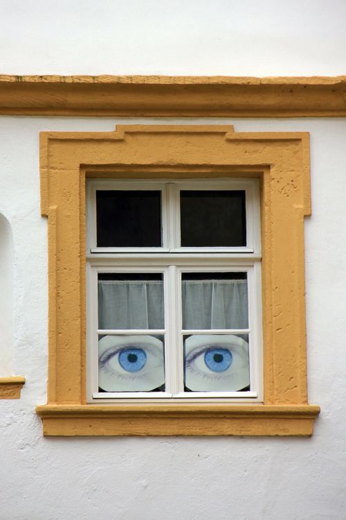 home window eyes