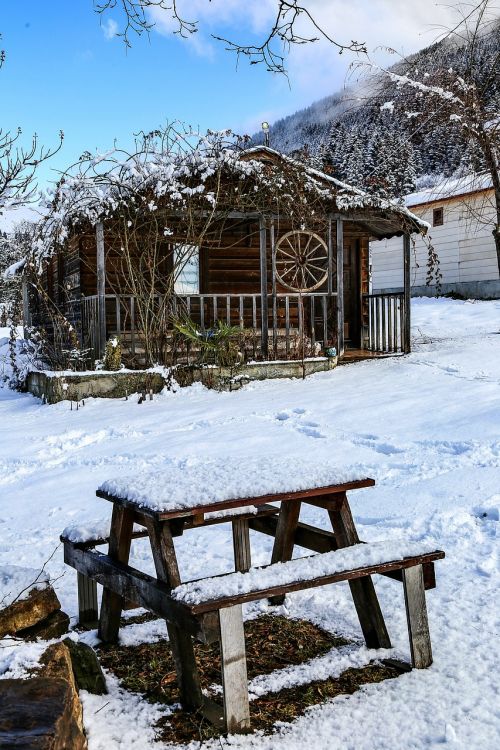 home snow landscape