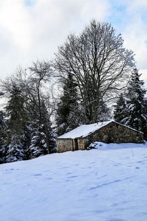 home snow landscape