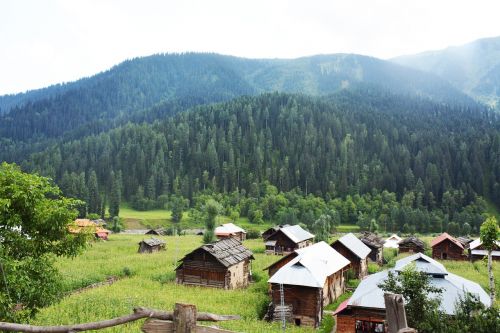 home green scenery