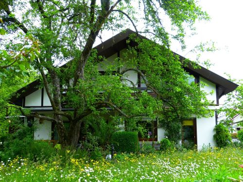 home garden meadow