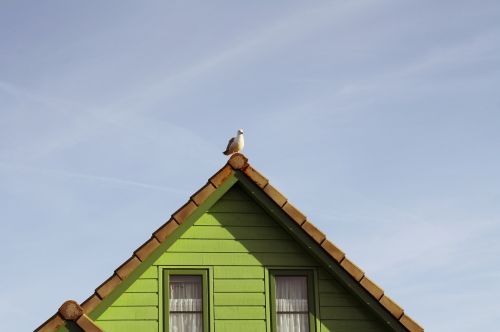 home seagull building