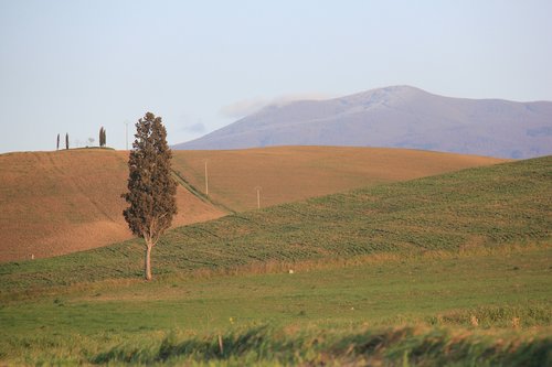 home page  tuscany  italy