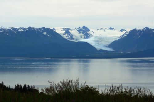 homer alaska blue