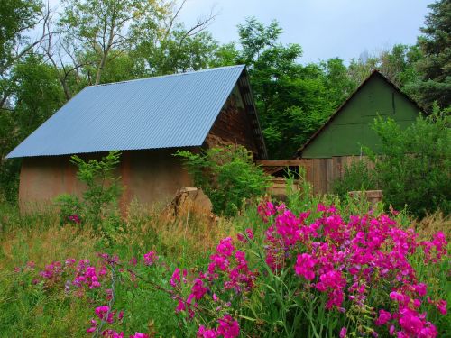 homestead house architecture