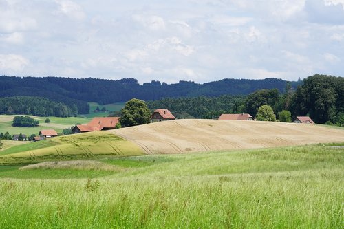 homestead  hamlet  village