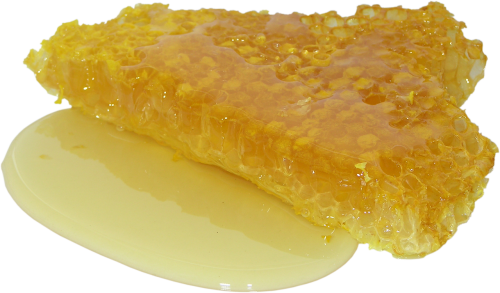 honey honeycomb sweet