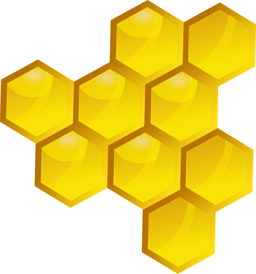 honey slice bee