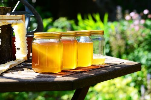 honey jars harvest
