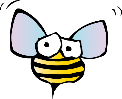 honey bee bee animal